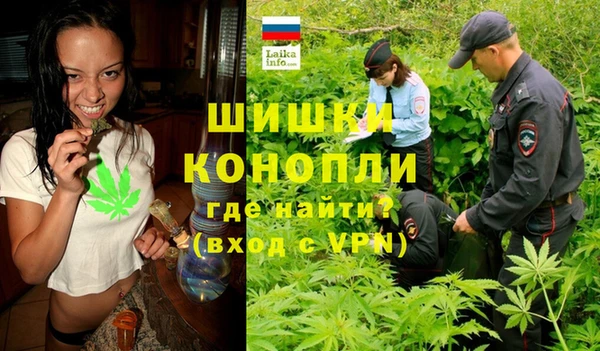 PSILOCYBIN Верхний Тагил